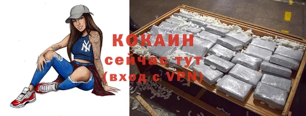 ПСИЛОЦИБИНОВЫЕ ГРИБЫ Абаза