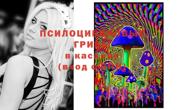 эйфоретик Абинск