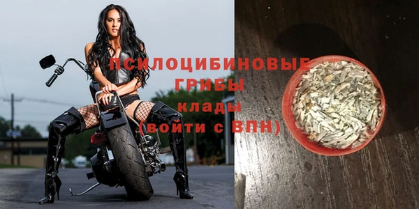ПСИЛОЦИБИНОВЫЕ ГРИБЫ Абаза